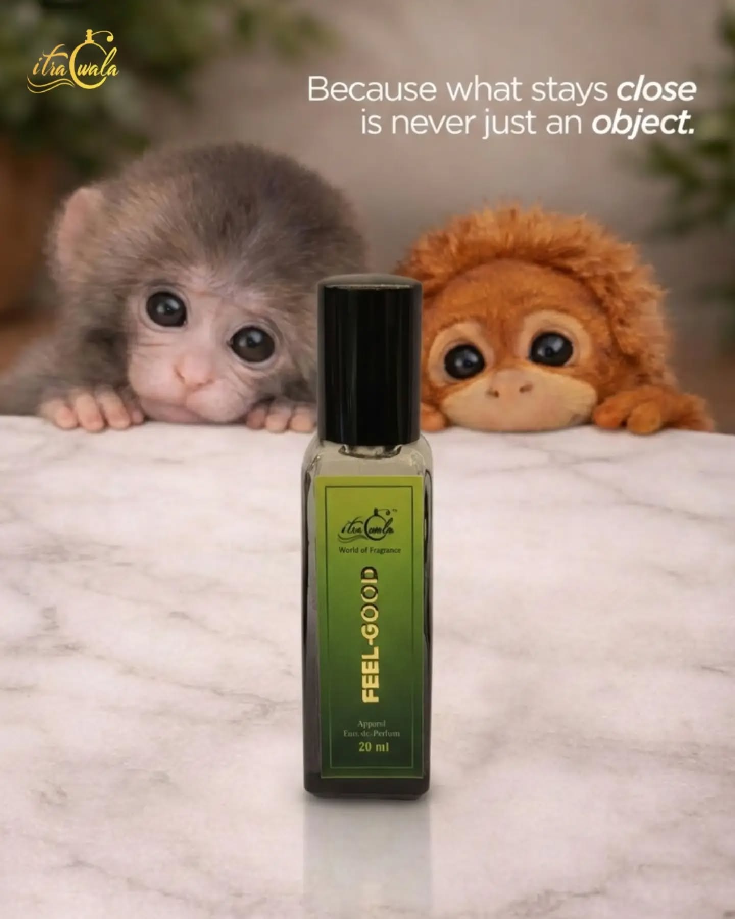 One spray and suddenly everything feels better, brighter, and a little more fabulous. Mood = upgraded. 💛
#itrawala❤️ #FeelGood #punchmonkey #TrendingNow #punch