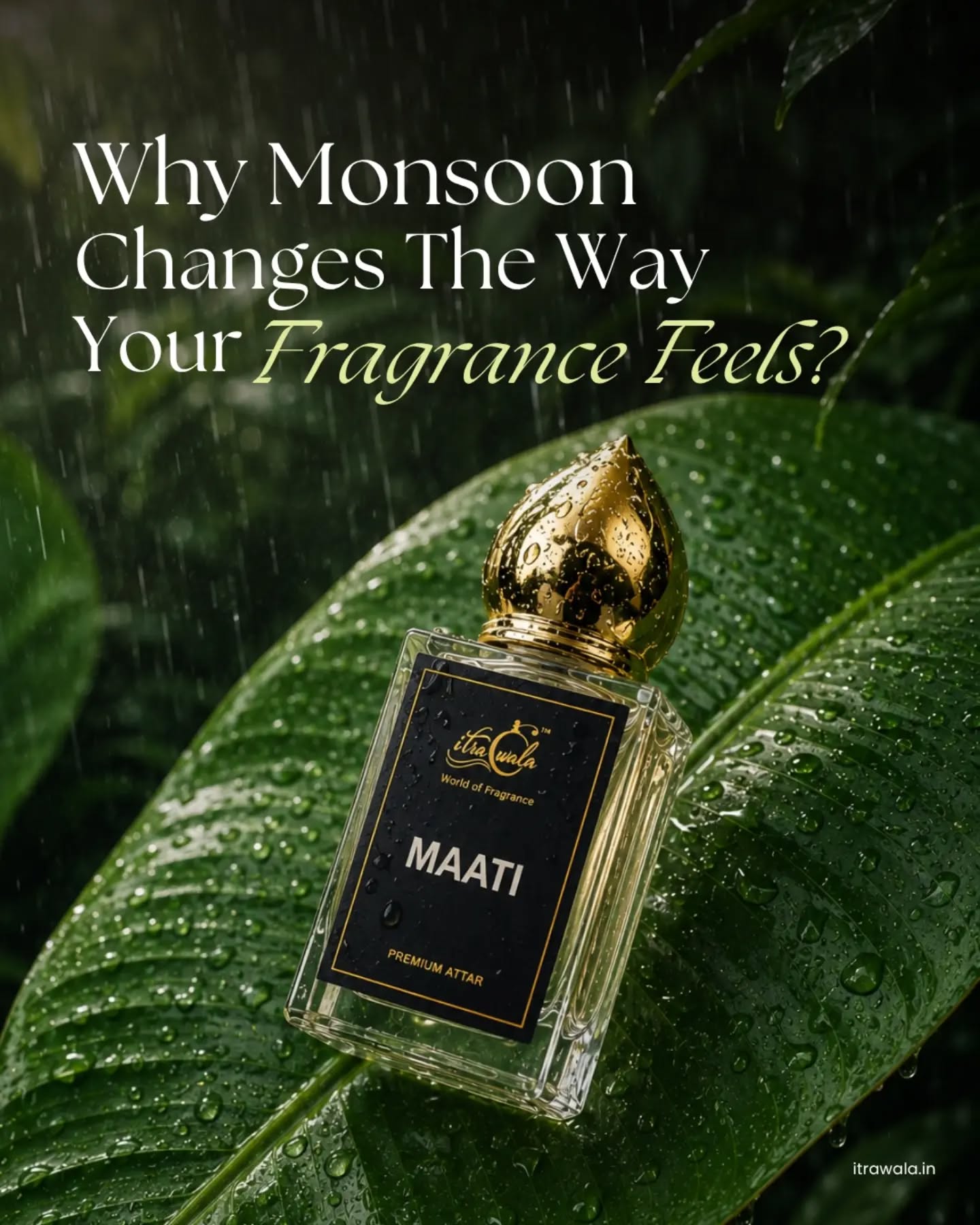 Ever wondered why your favorite long-lasting perfume smells completely different when the monsoon hits? 🌧️✨
There is a beautiful, invisible chemistry that happens when the first drops of rain meet the earth. High humidity and cooler air actually change the way fragrance notes develop on your skin, making rich woods deeper, aquatics crisper, and earthy tones incredibly nostalgic.
To celebrate the season, we’ve curated the ultimate monsoon fragrance wardrobe, specifically crafted to bloom perfectly in the rain:
🤎 MAATI: The comforting, warm, and deeply grounding smell of rain kissing dry soil—captured forever in a premium attar.
🤍 JASMINE FOREVER: Soft, elegant, and effortlessly timeless. The serene freshness of delicate romantic blooms flourishing after a heavy pour.
🌊 OCEAN WATER: Clean, energizing, and crisp. It surrounds you with that cool, aquatic freshness of waves under cloudy skies.
🪵 OUD WOOD: Bold, smooth, and irresistibly luxurious. Rich, long-lasting woods that leave a sophisticated, warm trail lingering in the cool monsoon air.
📌 Save this monsoon fragrance guide so you know exactly which premium scent profile to reach for the next time the skies turn gray!
What is your ultimate rainy day vibe—are you reaching for the earthy smell of fresh rain or deep, luxurious woods? Let us know in the comments below! 👇
#monsoonoffer #smellofrain #monsoonsale #perfumeshop #longlastingperfumes